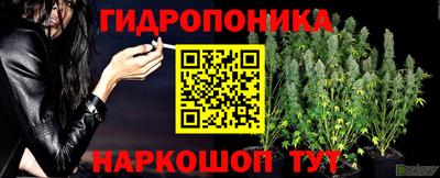 гидра Ярославль