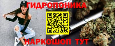 гидра Ярославль