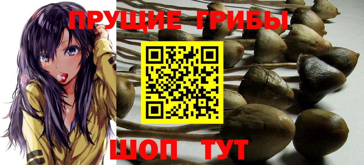 Аргун  Галлюциногенные грибы ЛСД  Вход с VPN  Галлюциногенные грибы MAGIC MUSHROOMS 