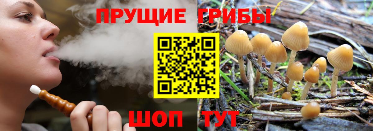 Галлюциногенные грибы Magic Shrooms Аргун